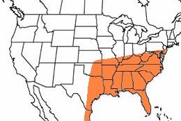 Geographic range of  Schistocerca damnifica  (Saussure)