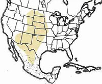 Geographic range of  Brachystola magna  (Girard)
