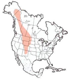 Geographic range of  Melanoplus kennicotti  Scudder