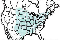 Geographic range of  Orphulella speciosa  (Scudder)