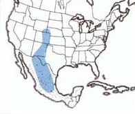 Geographic range of  Trachyrhachys aspera  Scudder