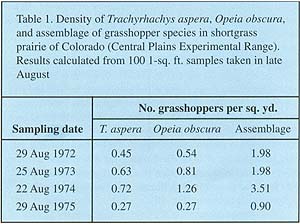 Table 1, density of  Trachyrhachys aspera ,  Opeia obsucra , and assemblage of grasshopper species in shortgrass prairie of Colorado