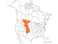 Geographic range of  Trimerotropis agrestis  (McNeill)