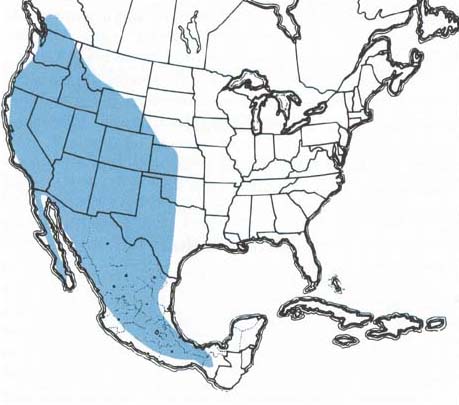 Geographic range of  Trimerotropis pallidipennis  (Burmeister)
