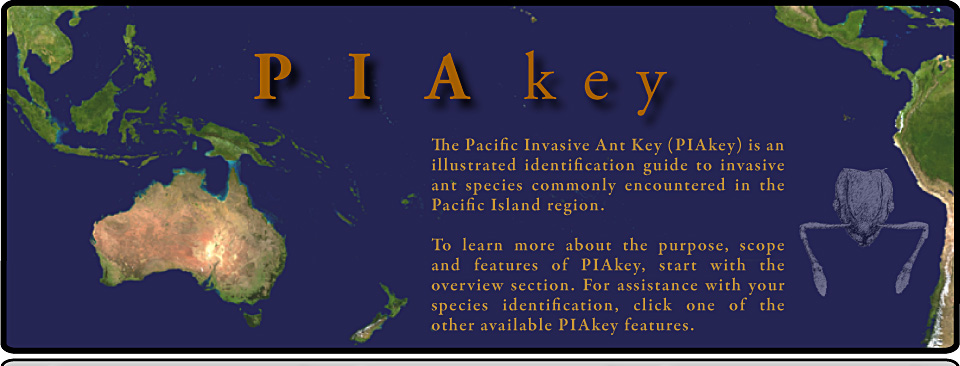 PIAKey. The Pacific Invasive Ant Key (PIAkey) is an illustrated identification guide to invasive ant species commonly encountered in the Pacific Island region.

To learn more about the purpose, scope and features of PIAkey, start with the overview section. For assistance with your species identification, click one of the other available PIAkey features.
