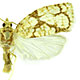 Adoxophyes negundana