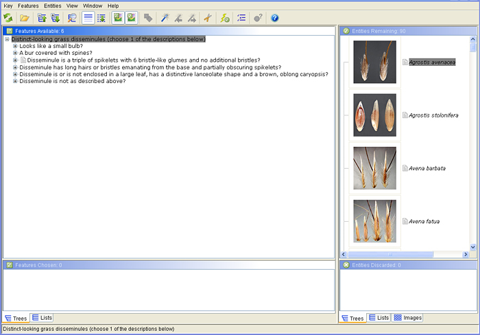 Window 7