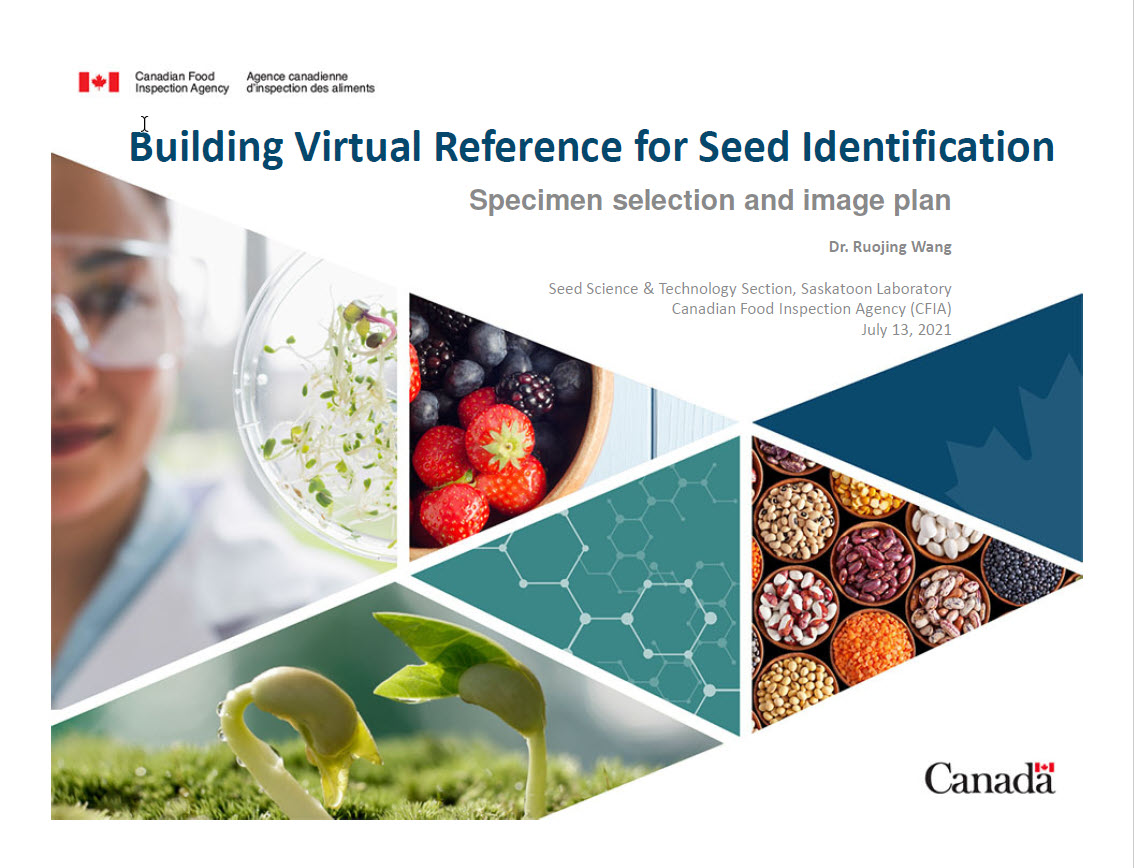 Ruojing Wang presentation pdf