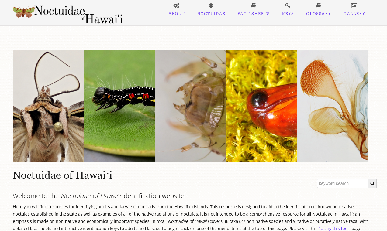 A new web site for identifying Hawaiian owlet moths (family Noctuidae)