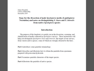 Steps for the Dissection of Male Spodoptera Moths (Lepidoptera: Noctuidae) and Notes on Distinguishing S. litura and S. littoralis from Native Spodoptera Species