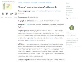 Plant Pests of the Middle East: Phloeotribus scarabaeoides (Bernard)