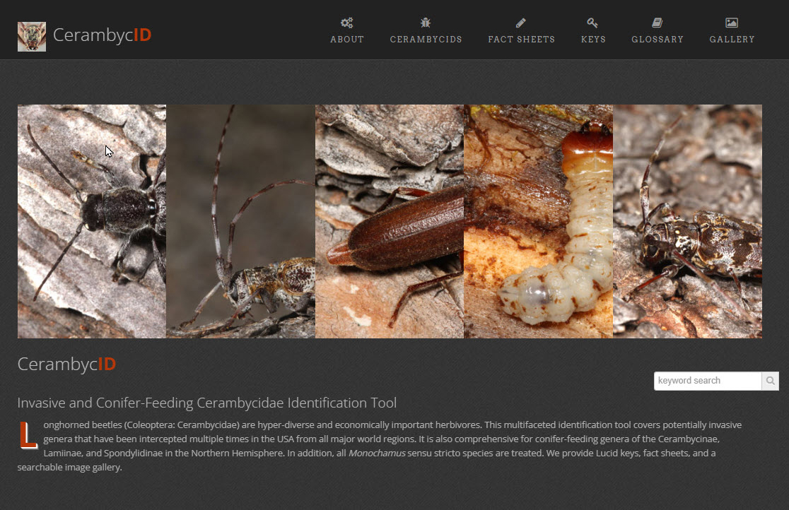 A new tool for identification of longhorned beetles in the family Cerambycidae