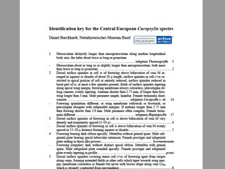 Identification Key for the Central European Cacopsylla Species