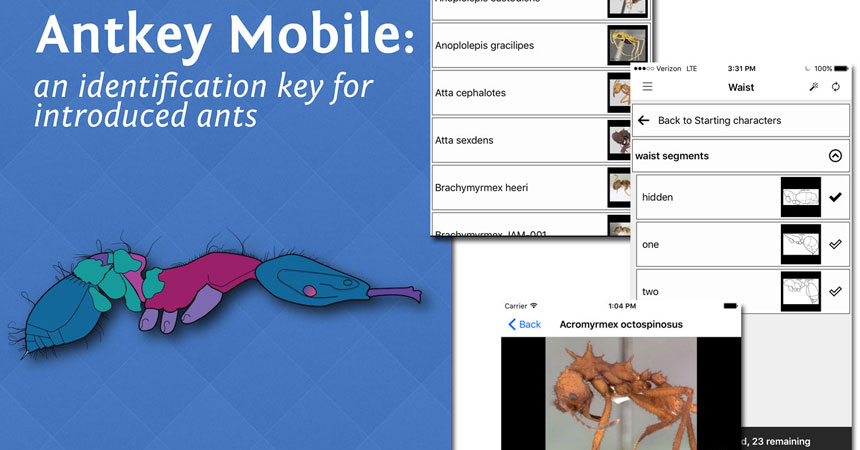 Antkey Mobile now available
