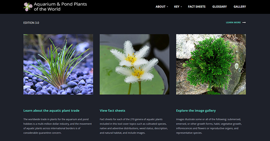 Announcing Aquarium and Pond Plants of the World, Edition 3