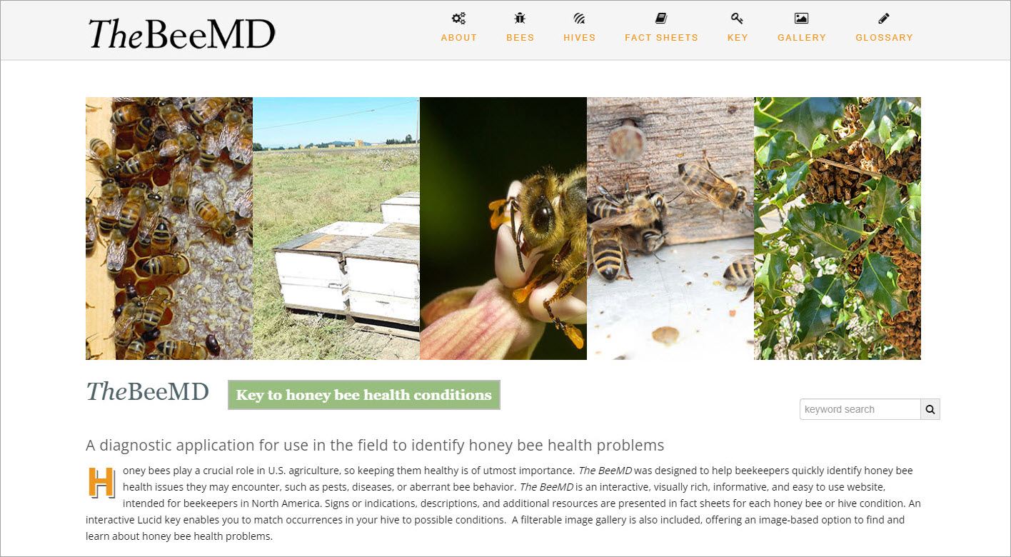 New release of The BeeMD