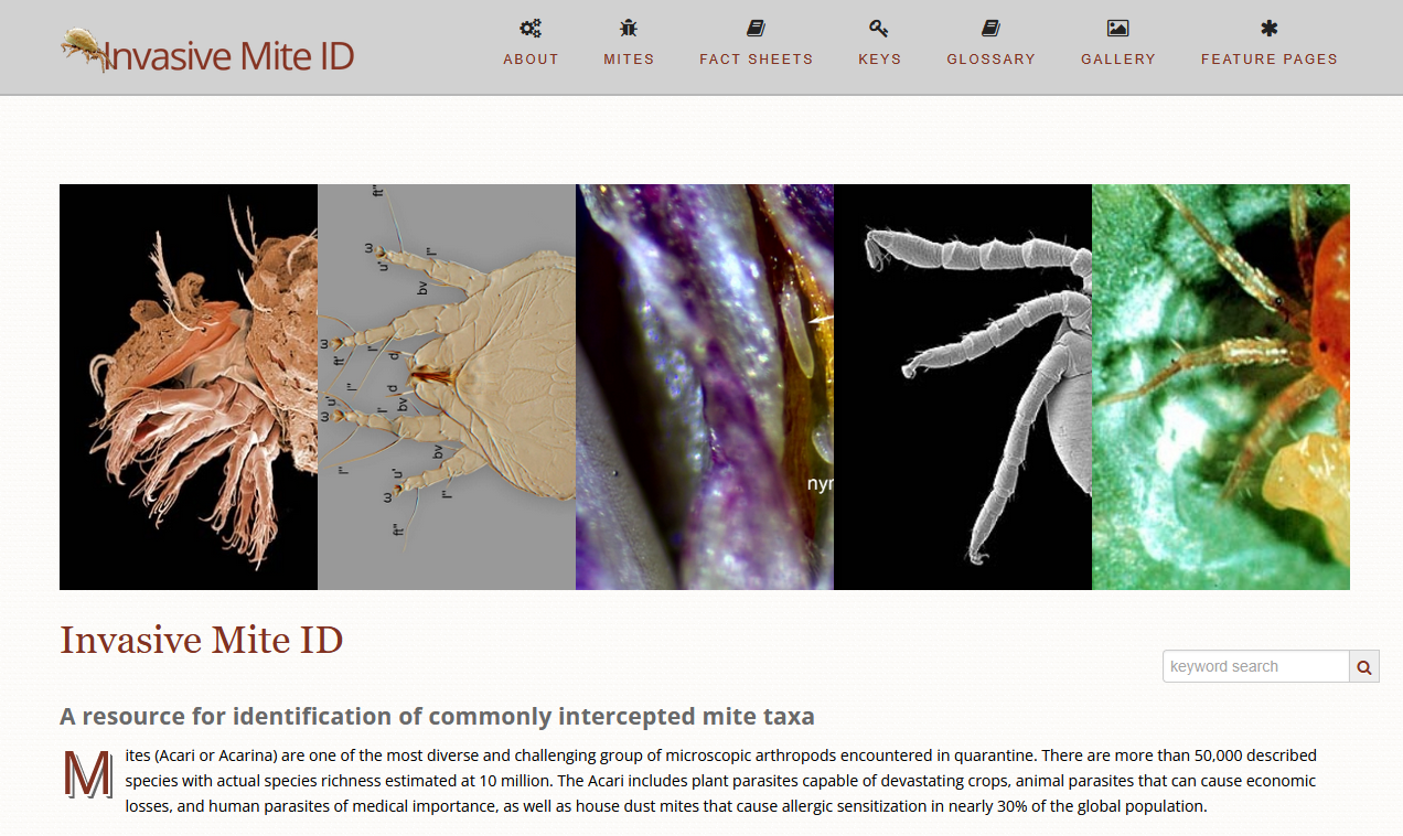 Release of Invasive Mite ID to ITP’s dynamic platform