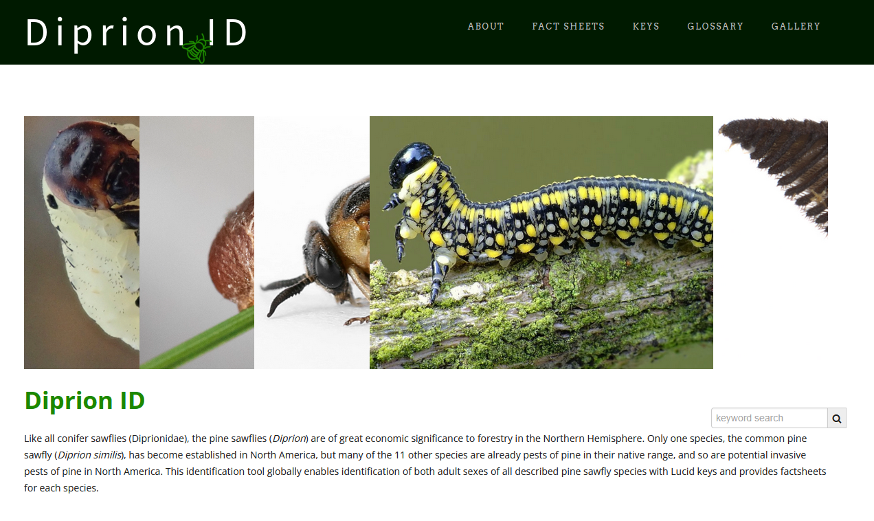 A new tool for identification of pine sawflies (family Diprionidae: genus Diprion)