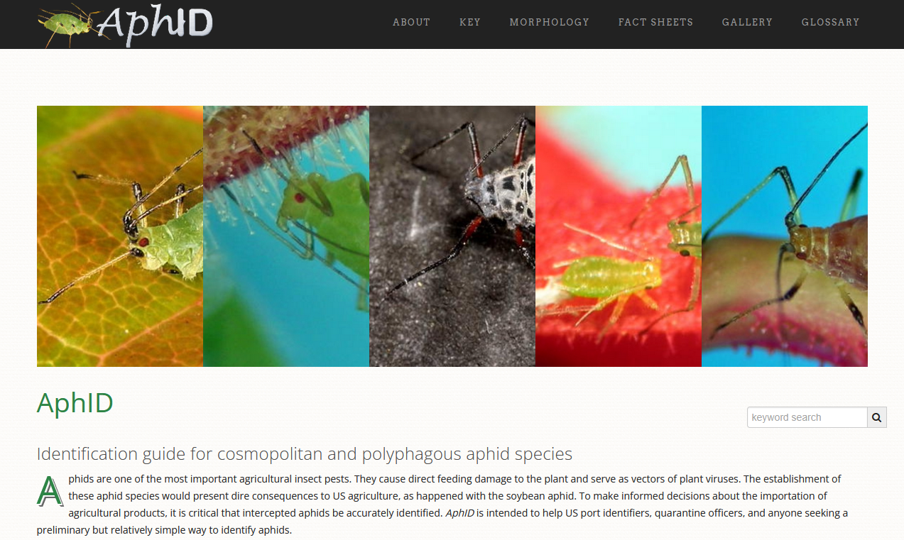 Release of AphID to ITP’s dynamic platform