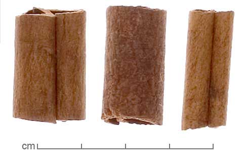 Cinnamomum aromaticum bark coils
