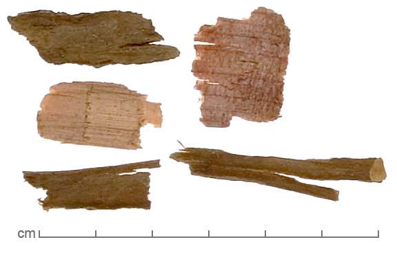 Juniperus virginiana wood shavings