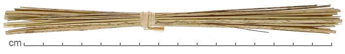 Phoenix sylvestris leaf roll