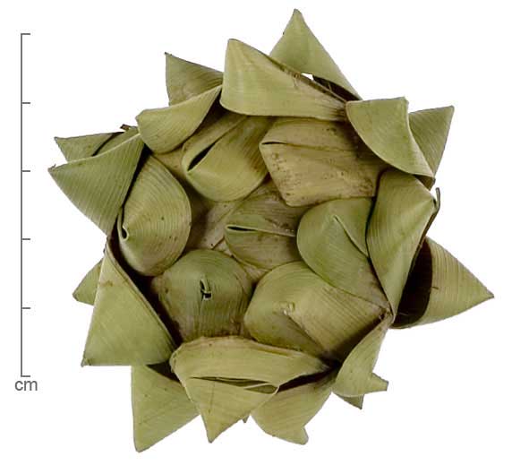 Phoenix sylvestris leaves woven into a flower