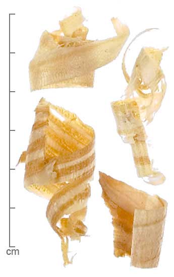 Pinus strobus wood shavings