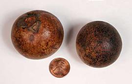  two fruits, natural color; photo copy; The Lebermuth Company, Inc. 
