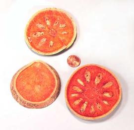  several fruit slices; photo copy; The Lebermuth Company, Inc. 

