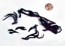  small   branchlets, dyed purple; photo copy; The Lebermuth Company, Inc. 
