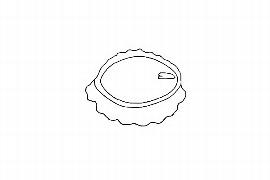   Embryo:   Acharia tragodes ; Illustration by K. Parker, Kirkbride et al. (2006)
