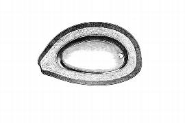  Embryo:  Simaba cedron ; Illustration by K. Parker, Kirkbride et al. (2006)
