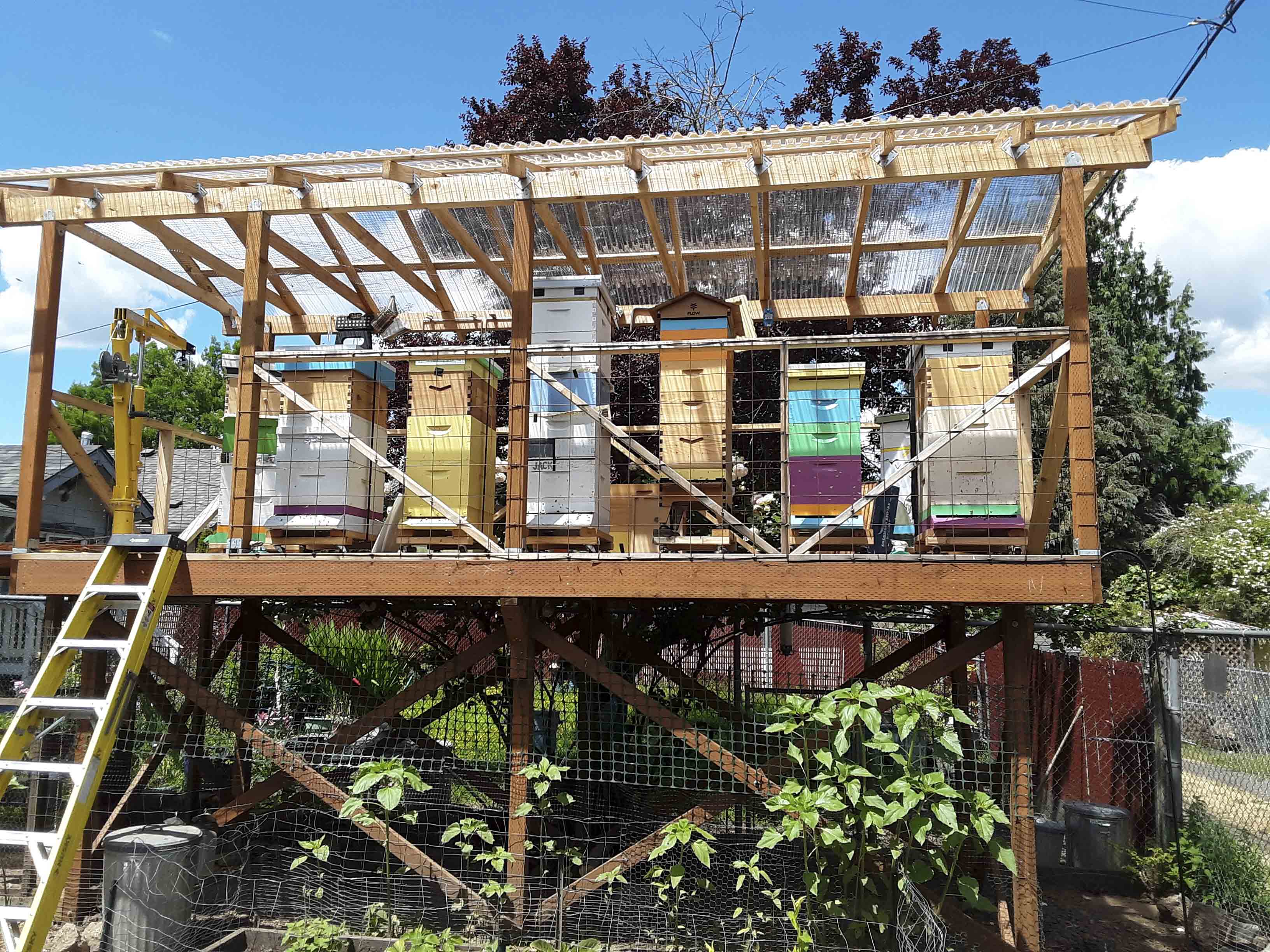 Backyard deck colonies (8 and 10 frame) with supers; photo by Dewey M. Caron