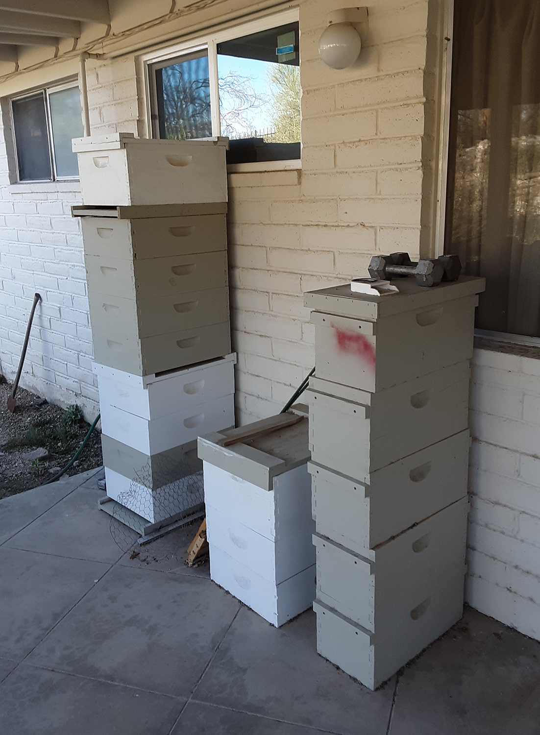 Back deck brood and super comb storage; photo by Dewey M. Caron